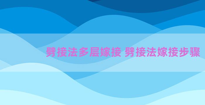 劈接法多层嫁接 劈接法嫁接步骤